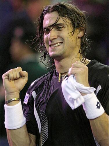Federer y Ferrer merecieron la final
