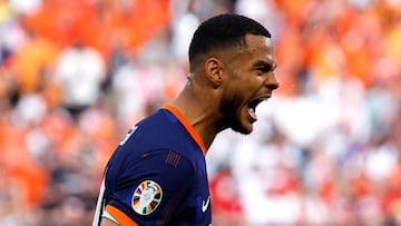 Gakpo celebra el primer gol de Pa¨ªses Bajos ante Polonia.