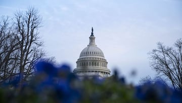 Trump impeachment trial at Senate: who voted in favour?