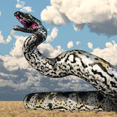 Neither anaconda nor reticulated python: this is what the titanoboa, the largest snake in history weighing 14 meters and one ton, looked like