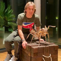 Las hormigas de 5.000 euros que se han comprado Sergio Ramos y Luka Modric