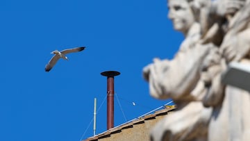 A chimney is set up on the roof of the Sistine Chapel, ahead of the conclave, at the Vatican May 2, 2025. REUTERS/Guglielmo Mangiapane
