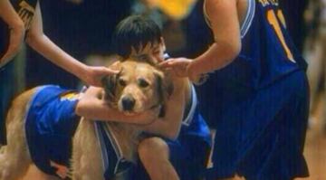 Air Bud