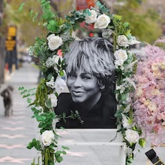 Who will inherit Tina Turner’s $250 million fortune?