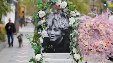 No fight expected over Tina Turner's $250 million estate
