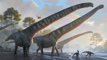 El enigma del dinosaurio con el cuello más largo jamás descubierto