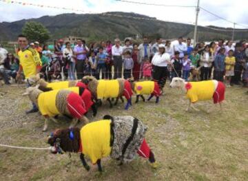 Las ovejas van al Mundial