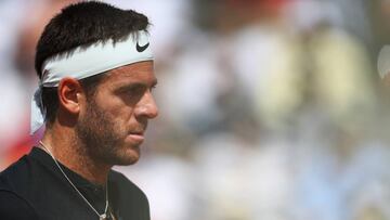 Del Potro podría perderse Roland Garros por lesión