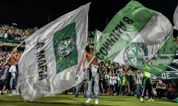 Los del Sur are the "barra brava" connected to Atlético Nacional in Medellín, Colombia and were formed in 1997.