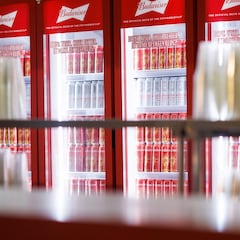 Budweiser boycott: Sales continue to drop, shares down 10%, marketing execs “on leave”