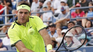 Del Potro pasa a octavos de final tras batir a David Ferrer