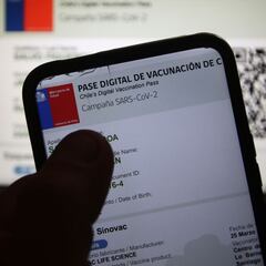 Pase de Movilidad: cómo saber si se me caducó y qué hacer para renovarlo