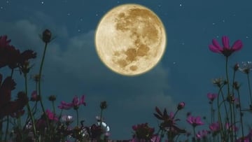 Luna Llena de mayo 2024: ¿cuándo es y a qué hora ver la Luna Flores desde México?