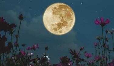 Luna Llena de mayo en Escorpio 2025: ¿cuándo es y a qué hora ver la Luna de Flores desde México?