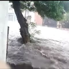 Temporal en Catamarca: Daños y consecuencias que ha provocado