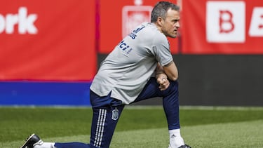 La alternativa a Luis Enrique est¨¢ en casa