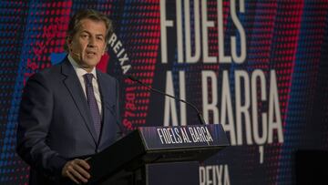 Freixa presenta a Llu¨ªs Carreras como director de f¨²tbol