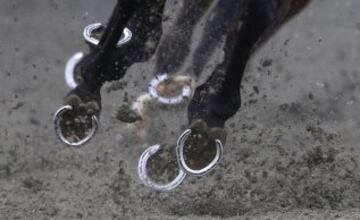 En este caso son herraduras y lucen impolutas entre el barro en una carrera celebrada en Kempton Park.