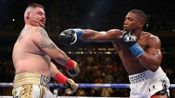 Andy Ruiz logr&oacute; la haza&ntilde;a de convertirse en el primer mexicano en ser campe&oacute;n de los pesos pesados, pero Anthony Joshua regres&oacute; para quitarle el t&iacute;tulo.