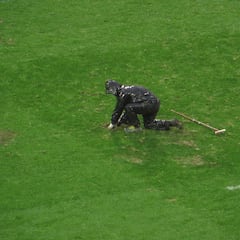 El césped de Zorrilla, en la UVI