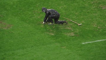 El césped de Zorrilla, en la UVI