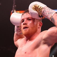 What record does Canelo Álvarez hold? What titles does he still have to win?