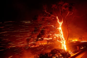 El incendio se ha producido en Malib, una ciudad de los Estados Unidos, ubicado en la costa sur de California.