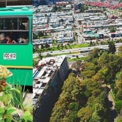 Día Sin Carro en Bogotá: Todo lo que debe saber de esta jornada