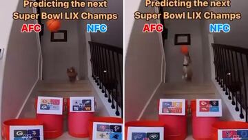 Viral dog reveals shocking Super Bowl LIX champion prediction