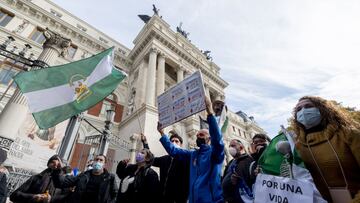 Archivo - Un grupo de personas con la bandera de Andaluc&iacute;a participa en una concentraci&oacute;n de agricultores y exportadores de naranjas, frente al Ministerio de Agricultura,