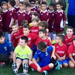 Las Federaciones Autonómicas se unen para superar la crisis