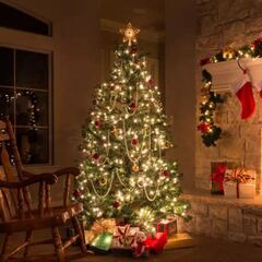 ¡Se acabó el 2023! ¿cuándo se quita el árbol de Navidad en México?