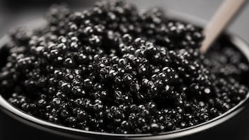 ¿Cómo saber si es caviar, qué tipos hay y cómo puedo identificar los sucedáneos?