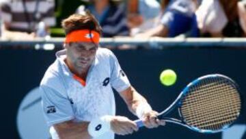 David Ferrer, en el partido ante Matthew Barton.