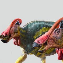 Descubren un nuevo tipo de dinosaurio en México
