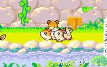 Captura de pantalla - hamtaro04.jpg