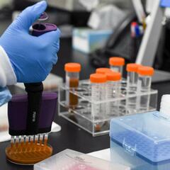 El CSIC advierte sobre la pomada con anticuerpos de la COVID-19: no existe evidencia de su eficacia