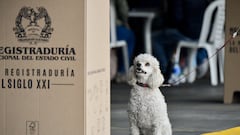 A dog sits at a polling station during the elections for governors, regional lawmakers and mayors, in Bogota, Colombia October 29, 2023. REUTERS/Vannesa Jimenez