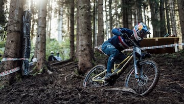 copa del mundo dh uci leogang