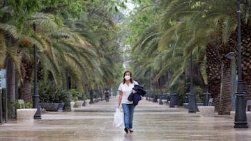 Una mujer ataviada con una mascarilla camina por el Paseo del Parque, en M&aacute;laga.