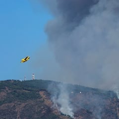 ¿Por qué es tan difícil de controlar el incendio de Málaga?