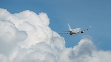 Detenidos varios pasajeros de un vuelo hacia Tenerife tras una pelea “a botellazos”