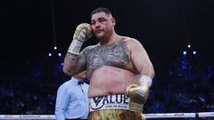 Andy Ruiz Jr 