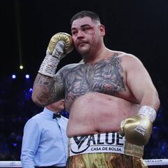 Johnny Nelson: “Andy Ruiz no tiene hambre y ya no será el mismo”