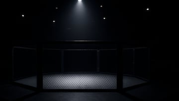 Empty MMA ring under low lights - artist's impression