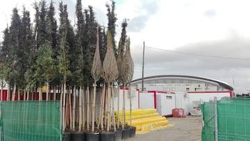 Los primeros árboles ya esperan a ser plantados en la fachada principal del Wanda Metropolitano del Atlético.