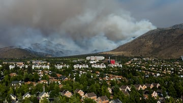 Revelan el origen del incendio forestal que afectó a San Carlos de Apoquindo: “Presentaremos una querella criminal”
