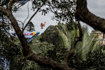 Las Red Bull Cliff Diving World Series
son un circuito internacional anual de competiciones de saltos de gran altura. Esta vez se está desarrollando en Sidney.