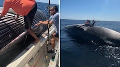 Dos pescadores encuentran y se suben encima de una ballena muerta: pudo acabar en tragedia