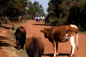 En las zonas de Kapsabet, Iten y Kaptagat, en la parte inferior de la región del Rift de Kenia, se concentran los centros de entrenamiento de donde salen los mejores atletas de las últimas décadas. Los atletas keniatas se dedican en cuerpo y alma al entrenamiento con la esperanza de convertirse en el próximo rey del maratón. 